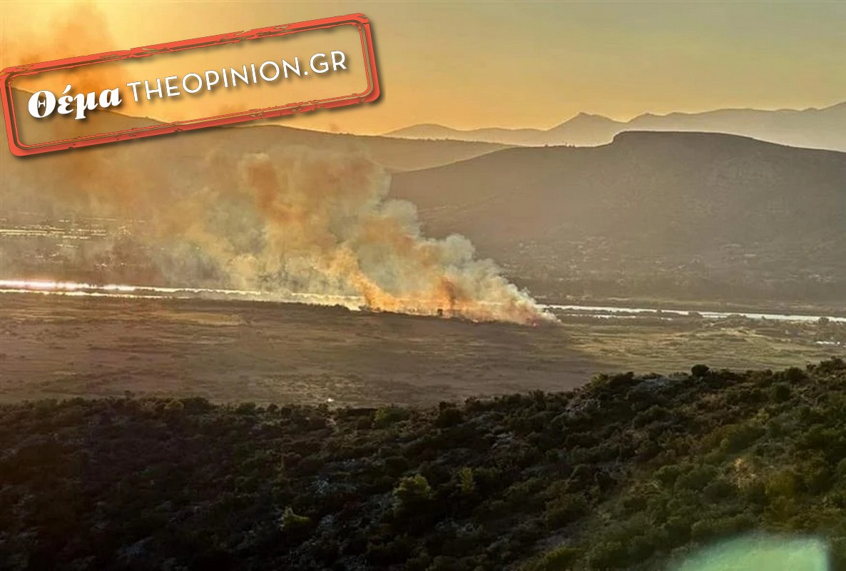 57 εστίες φωτιάς μέσα σε μια μέρα από καύση γεωργικών υπολειμμάτων στον δήμο Δέλτα!