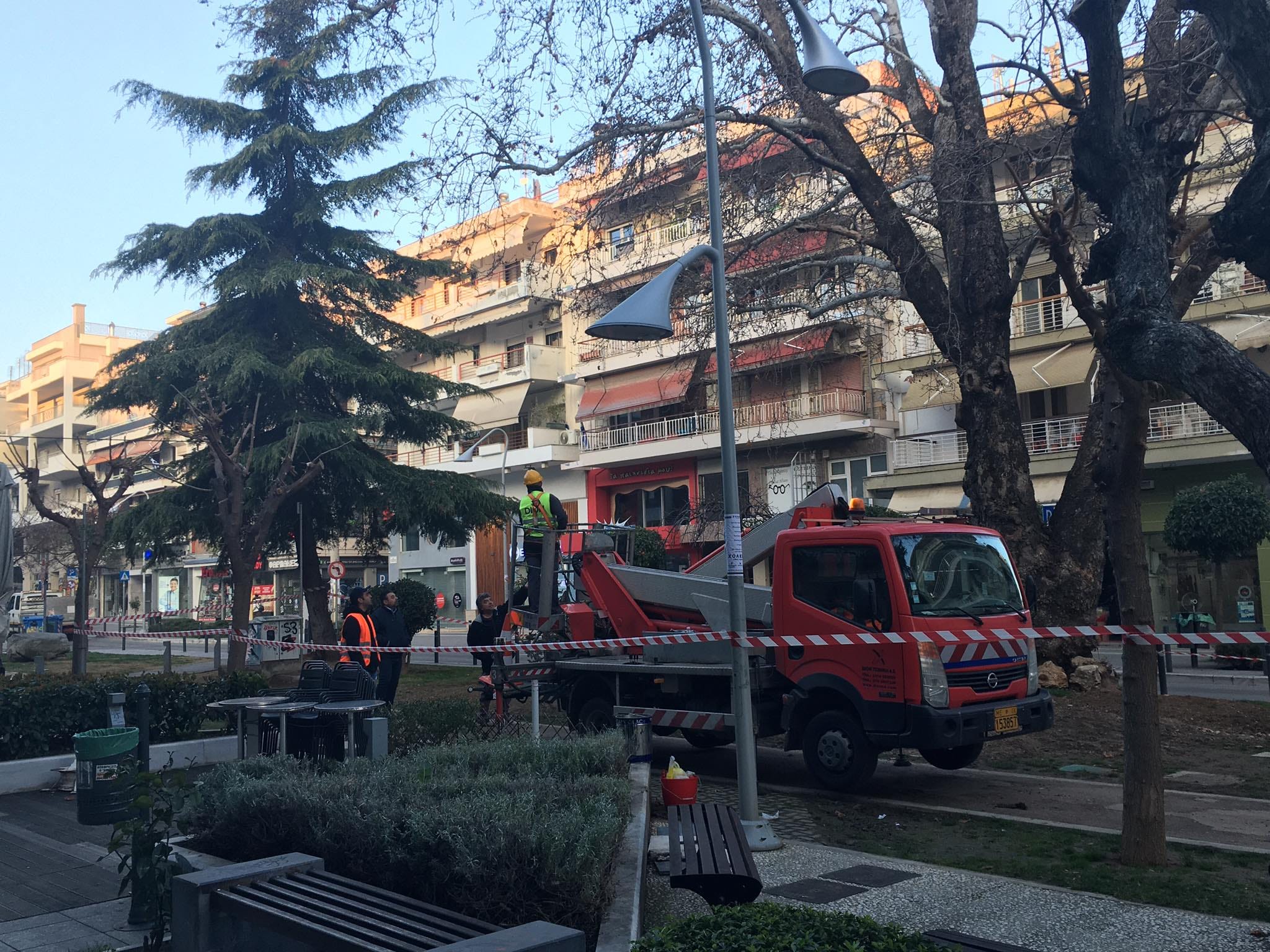 Καλαμαριά: Make over σε ένα από τα πιο ιστορικά δέντρα του δήμου (ΦΩΤΟ)