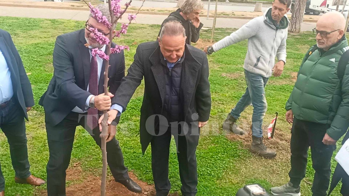 Θεσσαλονίκη: Φυτεύονται 500 δέντρα στη Νέα Παραλία (ΦΩΤΟ-VIDEO)