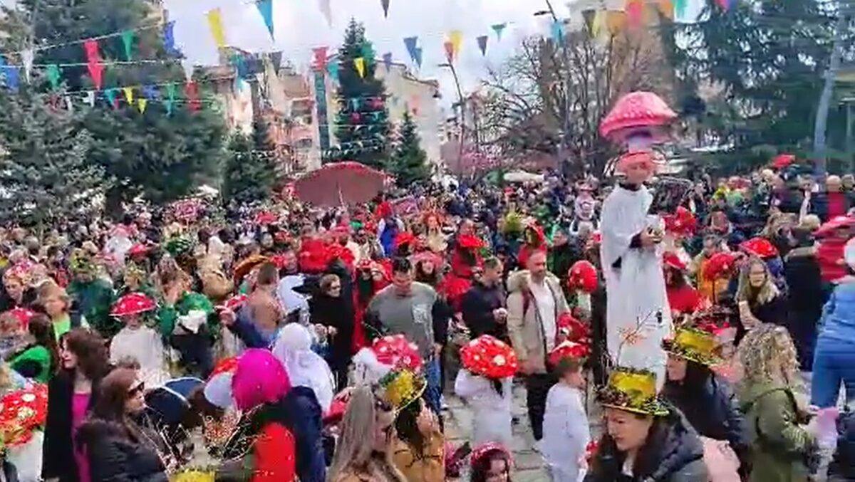 Καρναβάλι Ξάνθης: Σοβαρές καταγγελίες από την αντιπολίτευση του δήμου για την συναυλία της Φουρέιρα (VIDEO)