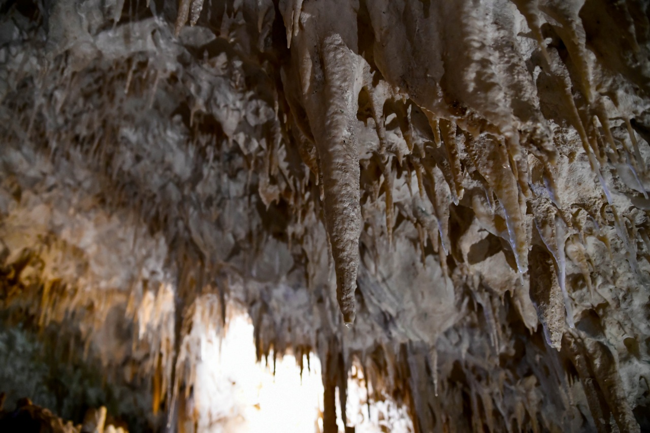 Χαλκιδική: Επαναλειτουργεί μετά από πέντε χρόνια το σπήλαιο των Πετραλώνων