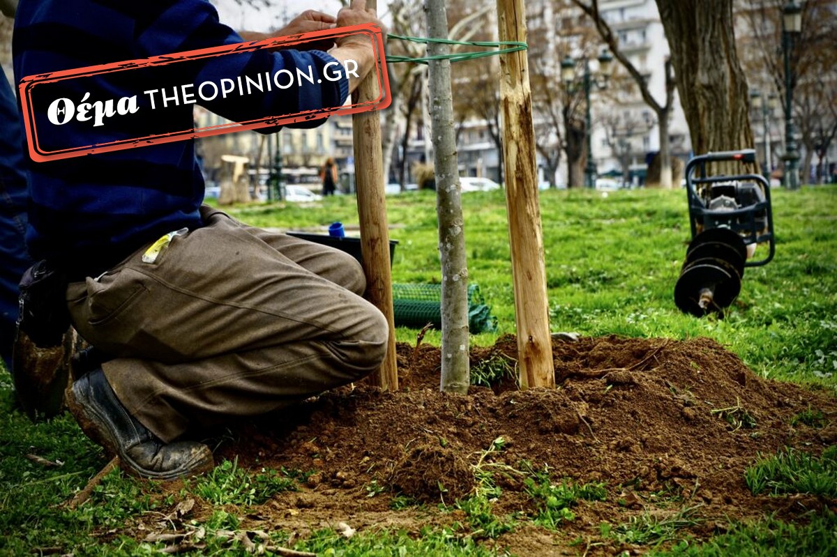 Στόχος του δήμου Θεσσαλονίκης η φύτευση 10.000 νέων δέντρων στους 14 μήνες θητείας της