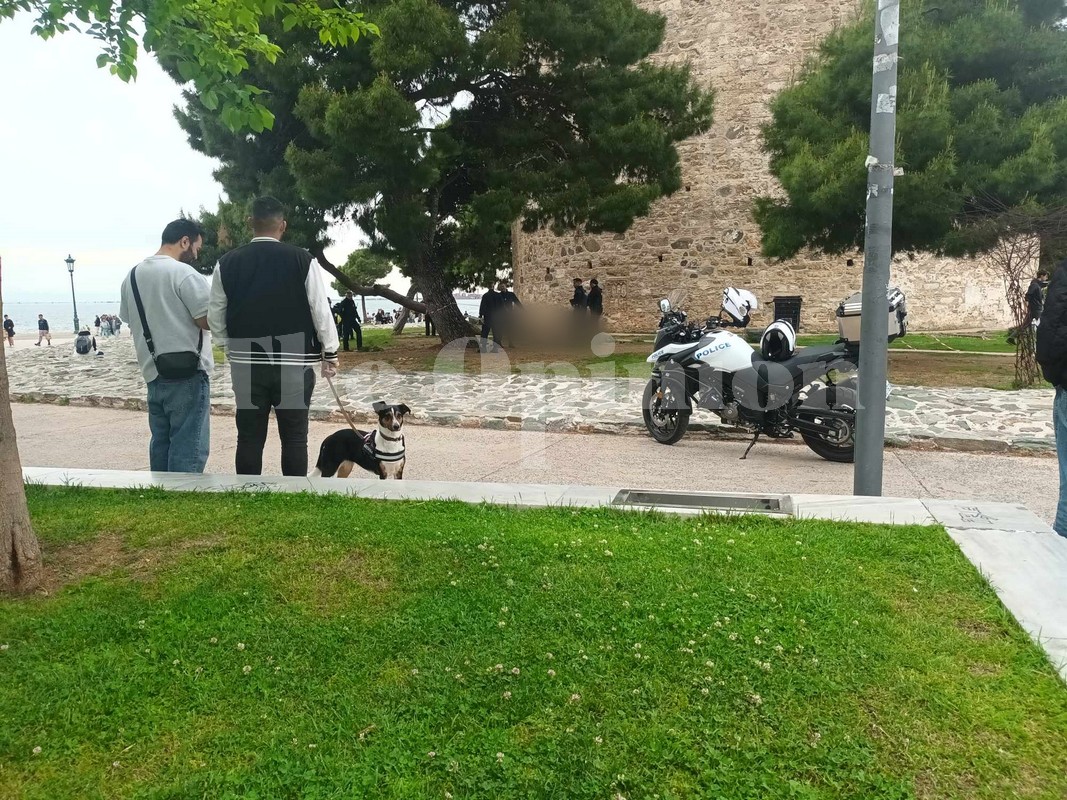 Τραγωδία στη Θεσσαλονίκη: Άνδρας έπεσε από τον Λευκό Πύργο (ΦΩΤΟ-VIDEO)