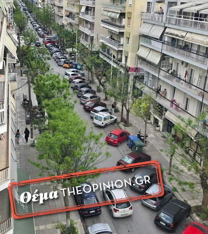 Κλάδεμα δέντρων στην Παπάφη επιχείρησε ο ΔΕΔΔΗΕ – «Δεν είχε δοθεί καμία άδεια»