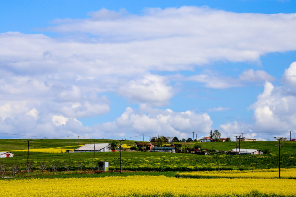 GRECFL2 – Greek Carbon Farming Living Lab: Το ελληνικό ζωντανό εργαστήριο για τη γεωργία άνθρακα