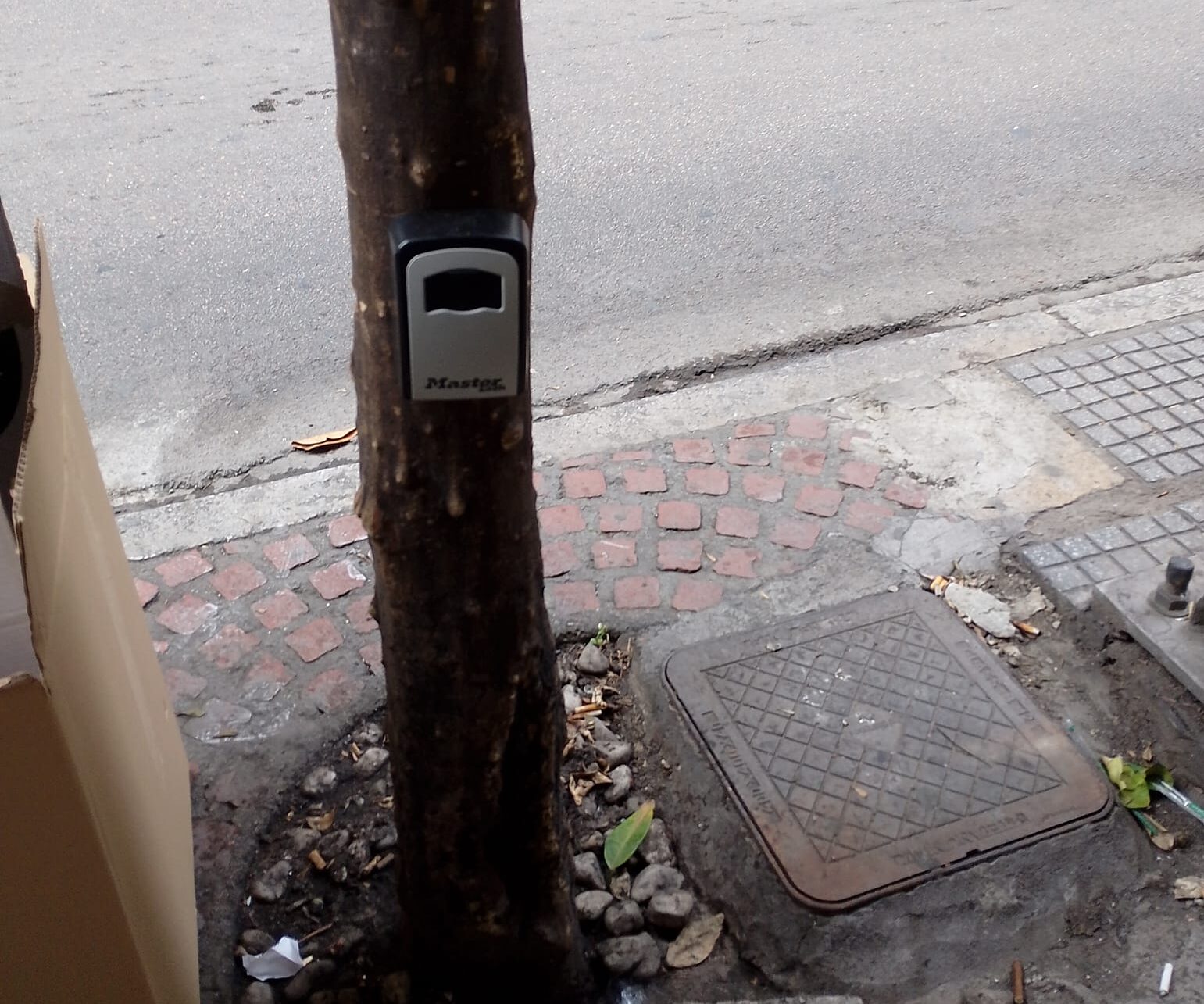 Θεσσαλονίκη: Ακόμη και σε… κορμούς δέντρων «κλειδιά» για διαμερίσματα τύπου airbnb