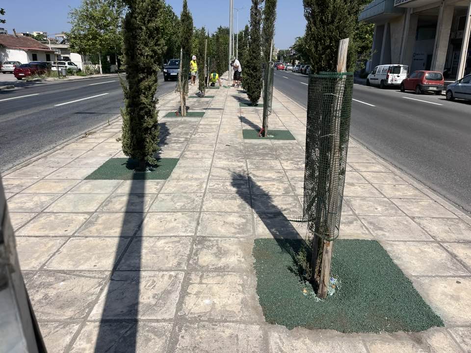 Τα δέντρα διψούν, ο Δήμος σφυρίζει: Ποτίστε τα μόνοι σας, κι αν ξεραθούν, θα φταίτε εσείς!