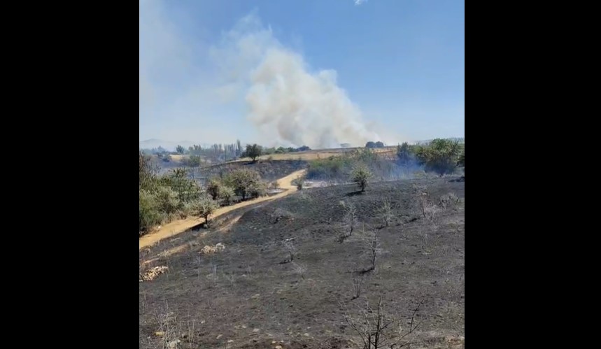 Κιλκίς: Φωτιά στο Χέρσο – «Ήχησε» το 112 – Ο δήμαρχος Κιλκίς στο TheOpinion (VIDEO)