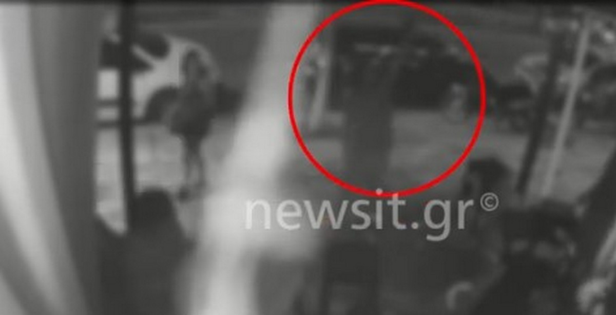 Θεσσαλονίκη: Το αποκαλυπτικό βίντεο από την περίπτωση κακοποίησης γάτας (VIDEO)