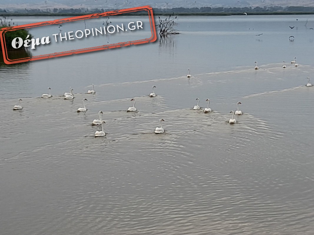 Κάτι… γίνεται στην Κορώνεια – Επί τάπητος η ανάδειξη της λίμνης και της παραλίμνιας περιοχής (ΦΩΤΟ)
