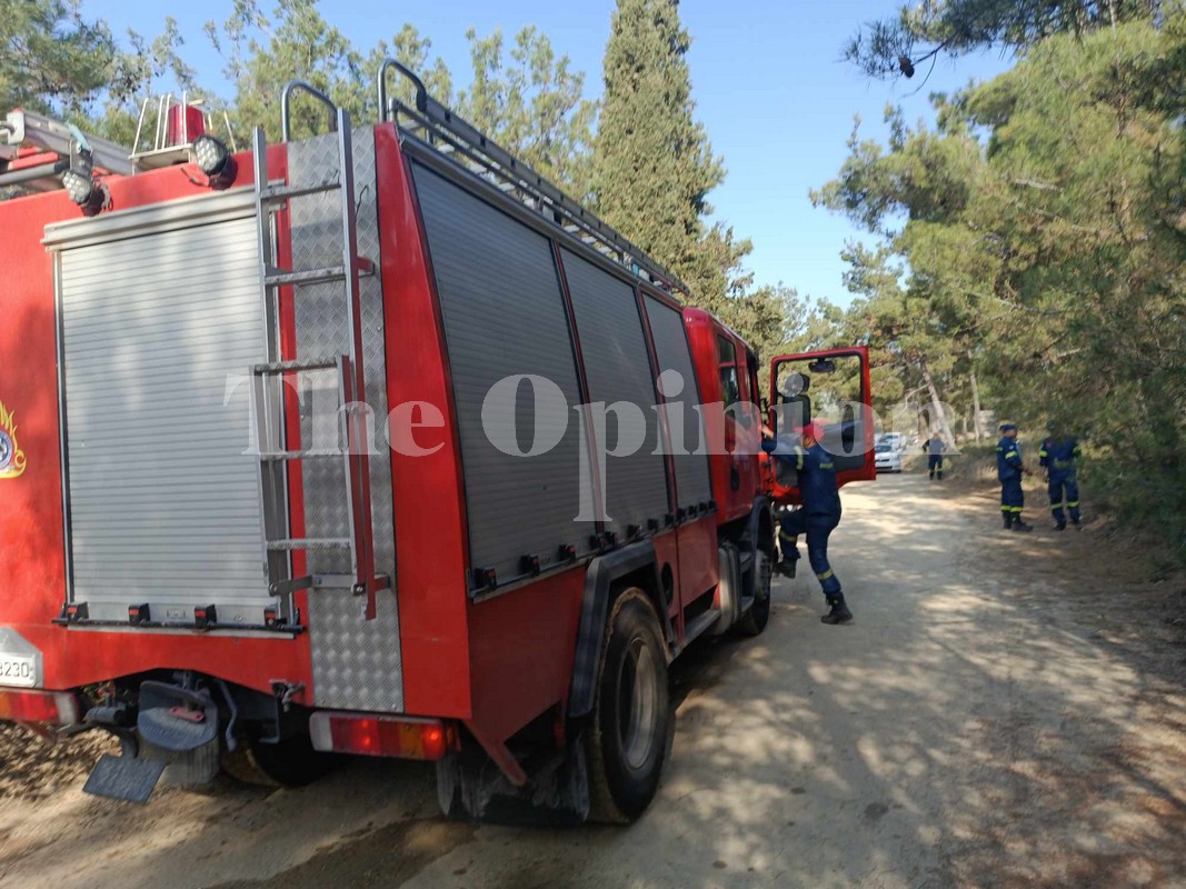 Σε συναγερμό η Θεσσαλονίκη για κίνδυνο πυρκαγιάς – Απαγόρευση κυκλοφορίας στα δάση