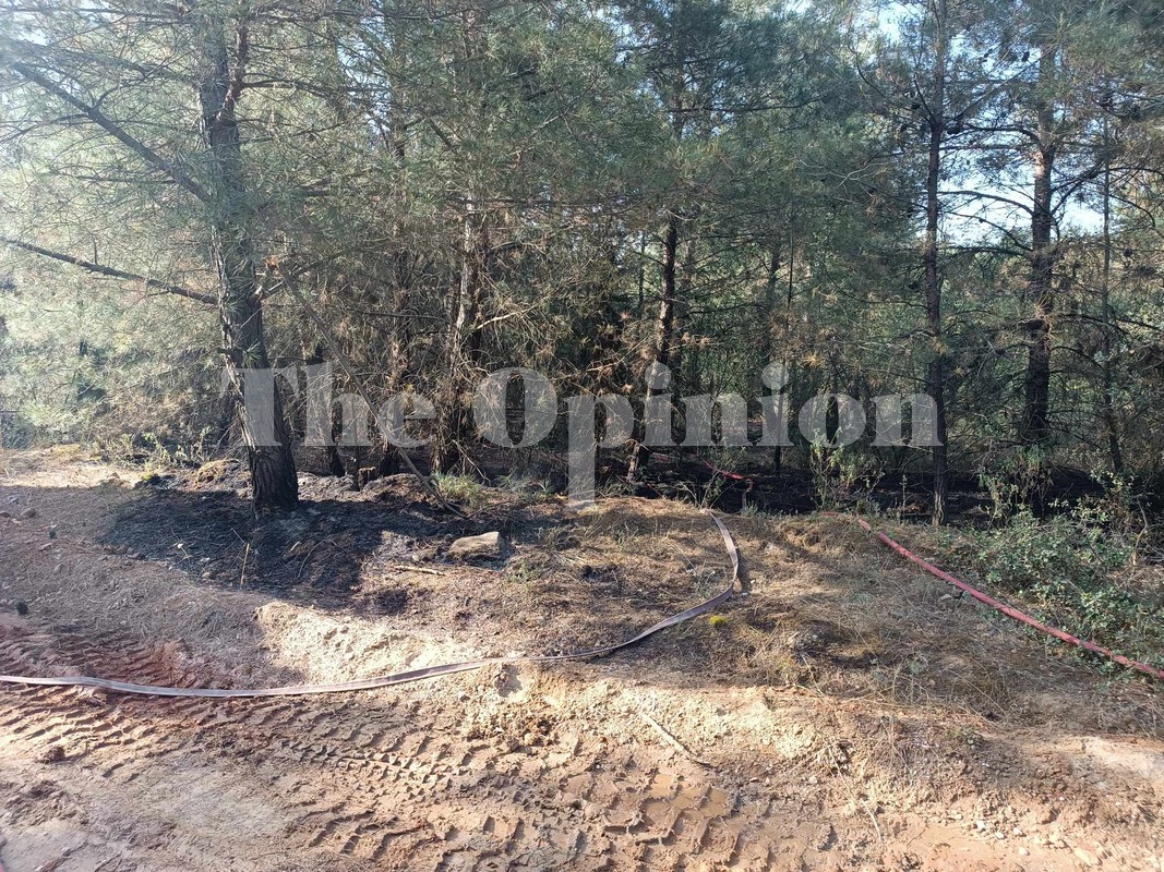 Σέιχ Σου: Εθελοντικές περιπολίες για την προστασία του