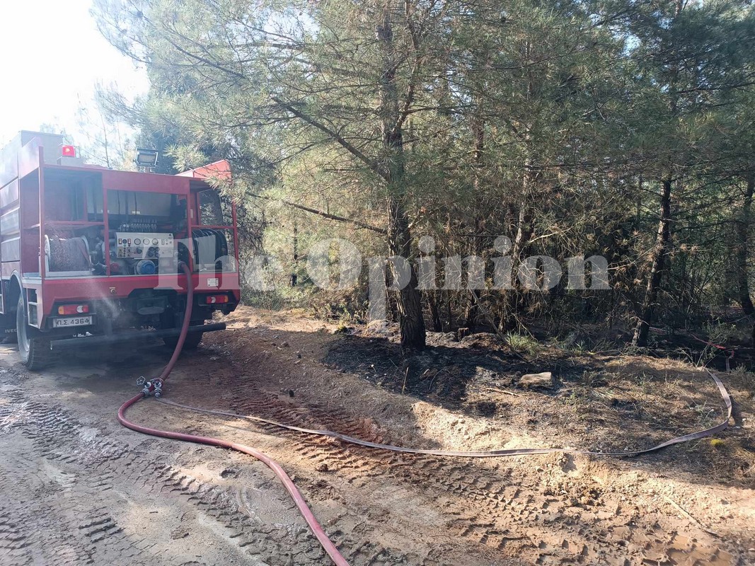 Φωτιά στο Σέιχ Σου: Συνελήφθη ένα άτομο – Δείτε φωτό και video