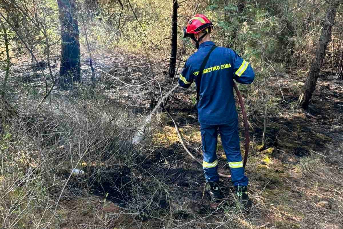 Δανιηλίδης: 24ωρες περιπολίες στο Σέιχ Σου πριν να είναι αργά για τον πράσινο «πνεύμονα» της Θεσσαλονίκης