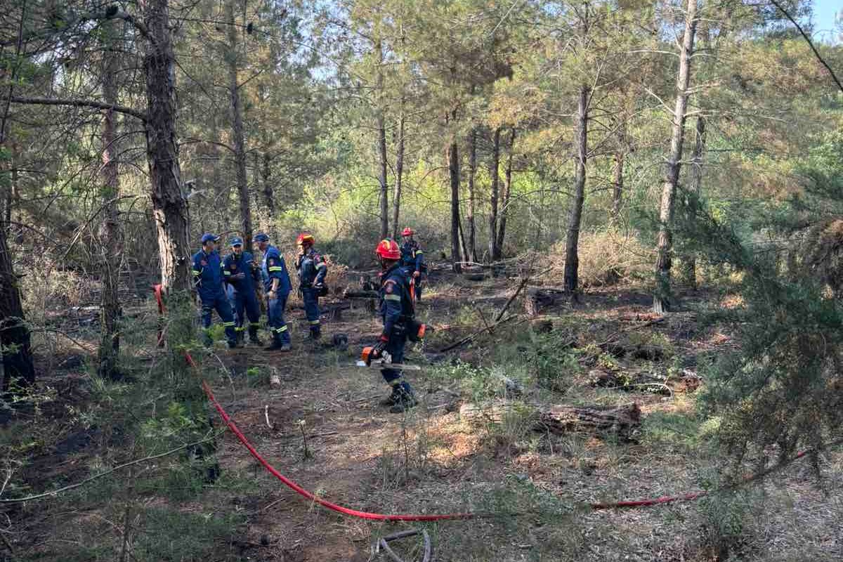 Θεσσαλονίκη: Απαγόρευση κυκλοφορίας από αύριο στο Σέιχ Σου λόγω κινδύνου πυρκαγιάς
