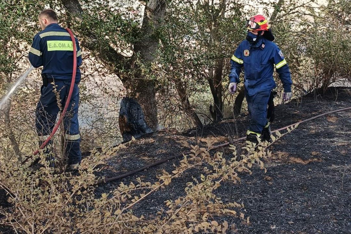 Καθημερινές περιπολίες στο Σέιχ Σου από το δήμο Νεάπολης – Συκεών