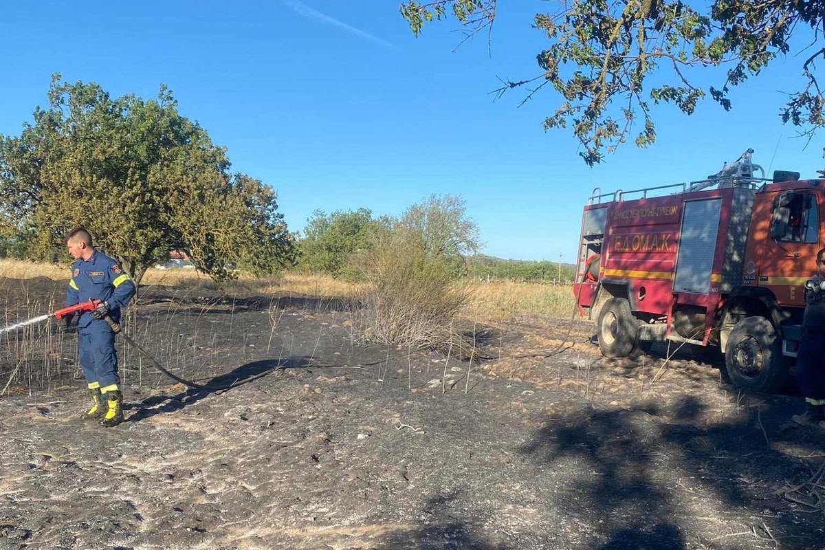 Επί ποδός η ΠΚΜ – Απαγόρευση κυκλοφορίας στο Σέιχ Σου και σε άλλα τρία δάση της Θεσσαλονίκης