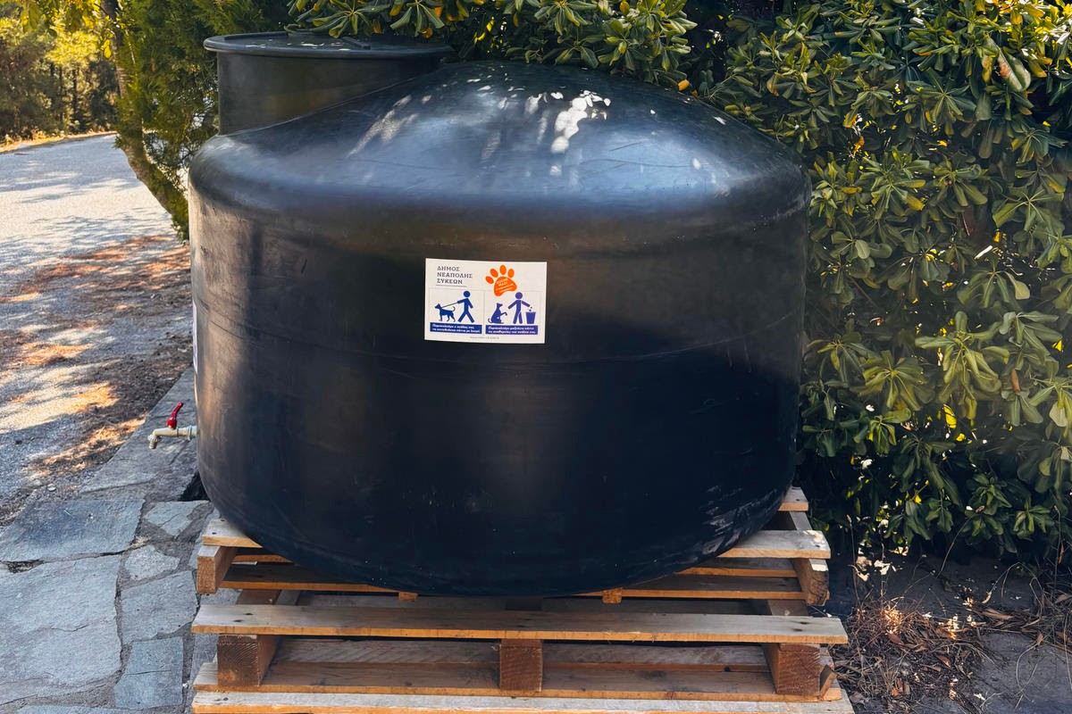 Πόσιμο νερό για τα αδέσποτα του Σέιχ Σου εξασφάλισε ο δήμος Νεάπολης – Συκεών