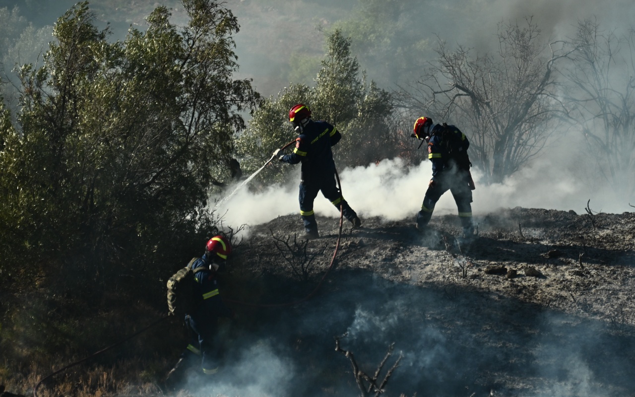 Φωτιά στη Θεσπρωτία – Στη μάχη επίγειες και εναέριες δυνάμεις