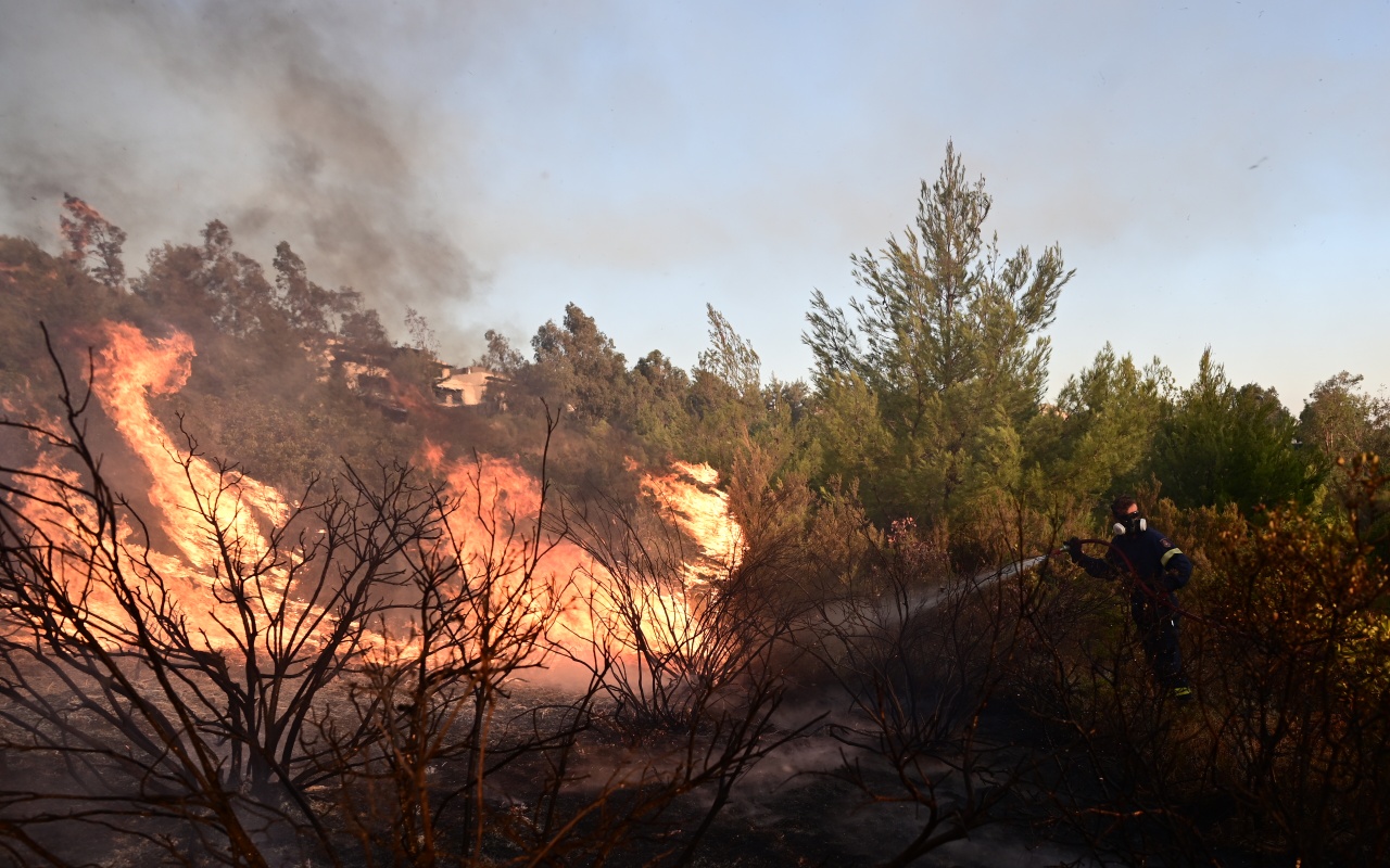 Πολύ υψηλός κίνδυνος πυρκαγιάς τον Δεκαπενταύγουστο στην Χαλκιδική – Τι ισχύει για τη Θεσσαλονίκη
