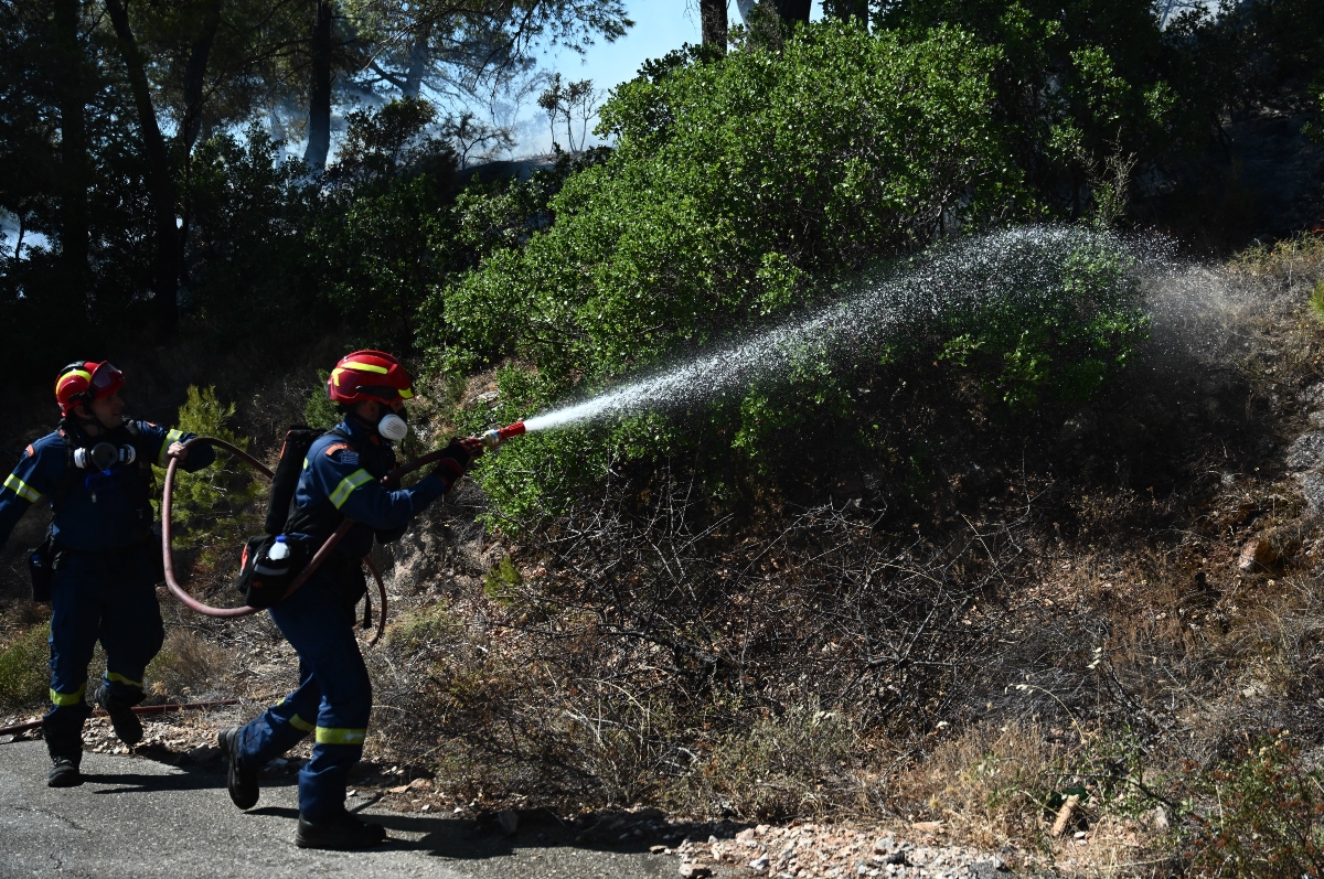 Υψηλός κίνδυνος πυρκαγιάς σε Χαλκιδική και Θράκη – Σε κόκκινο συναγερμό 4 περιφέρειες