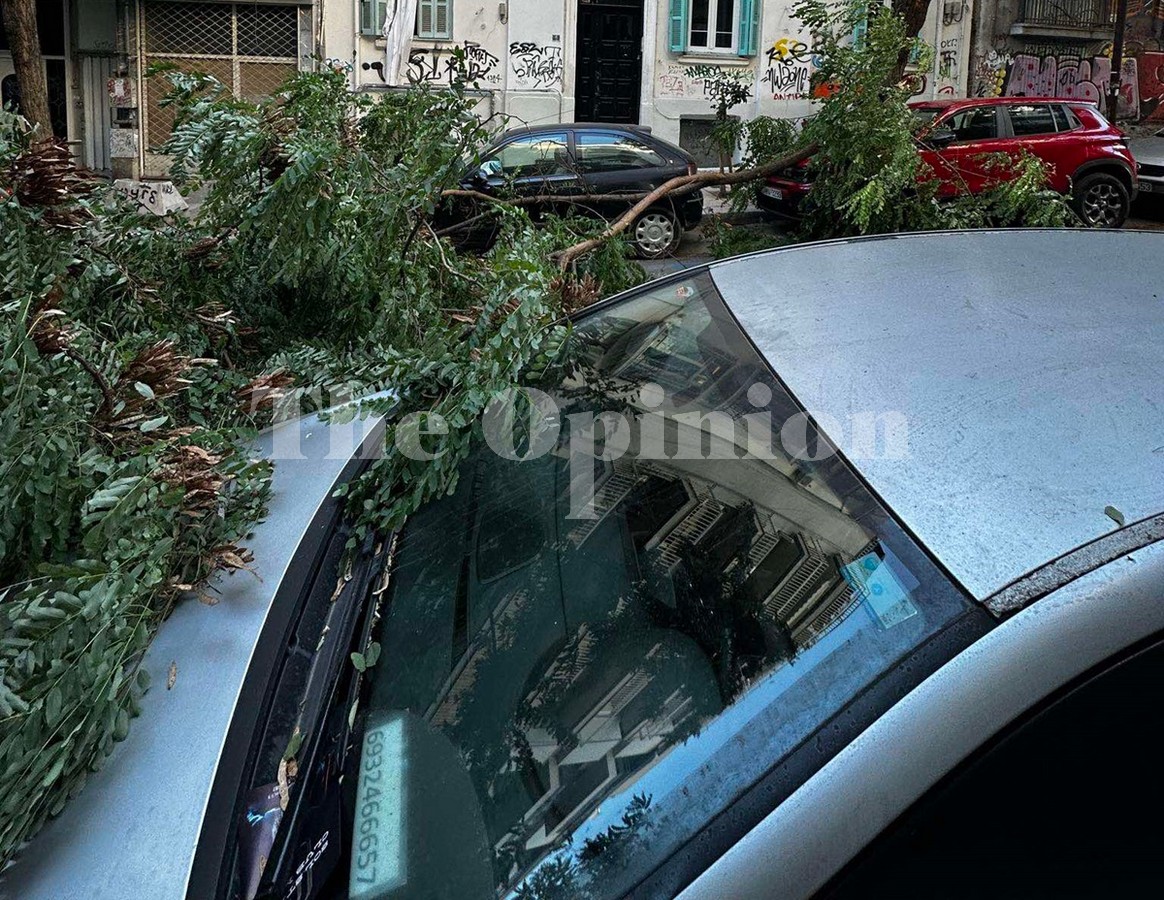Δήμος Θεσσαλονίκης: Καταφτάνουν ήδη τα αιτήματα για αποζημιώσεις από πτώσεις δέντρων