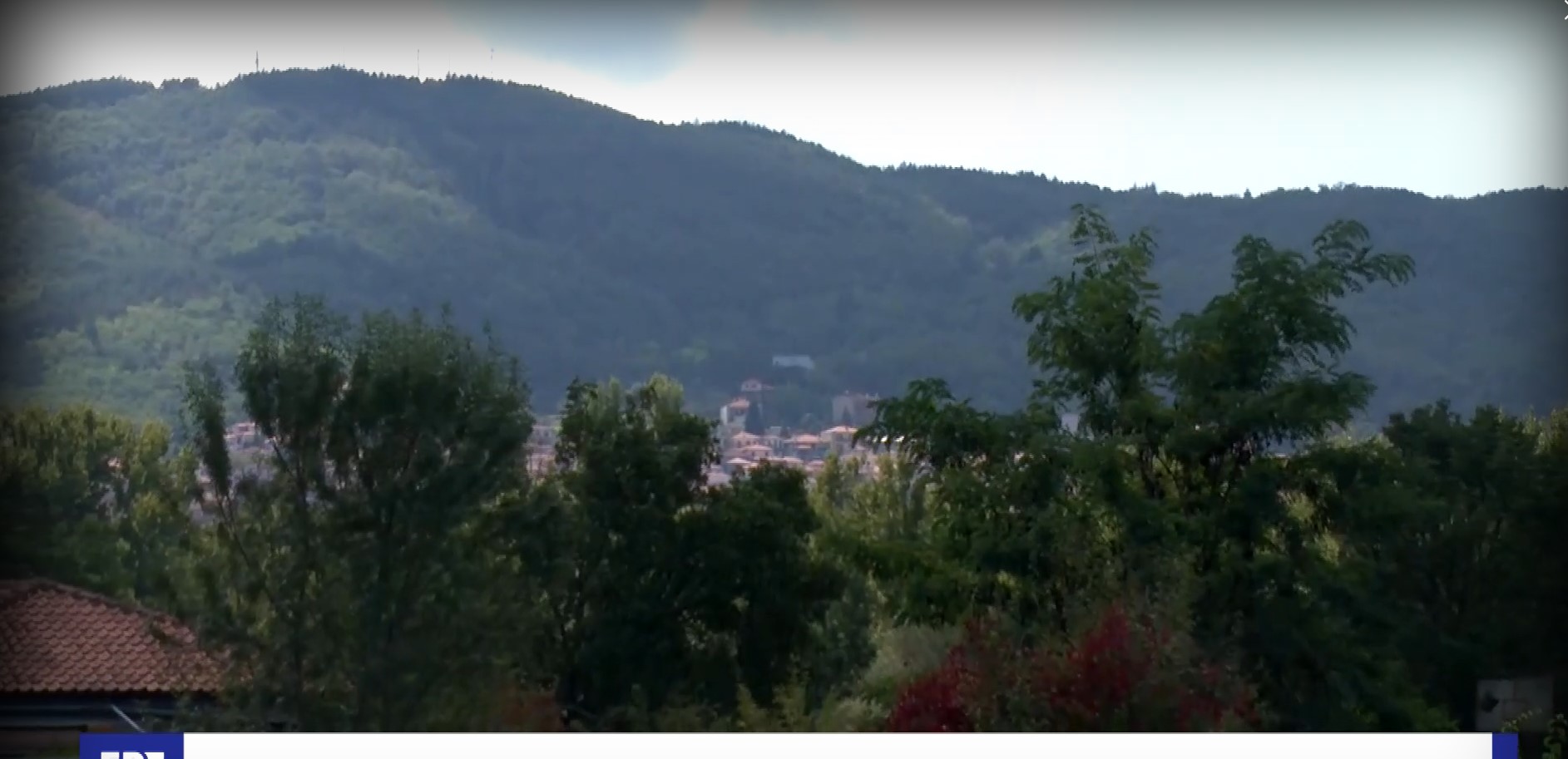 Αύξηση των επιθέσεων των λύκων στην ορεινή Χαλκιδική (VIDEO)