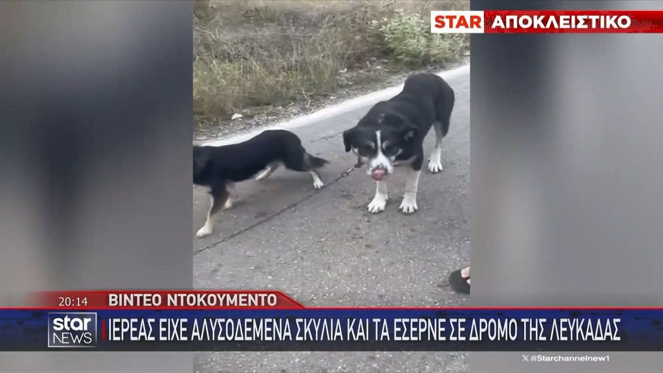 Ιερέας έσερνε στο δρόμο αλυσοδεμένα σκυλιά (VIDEO)