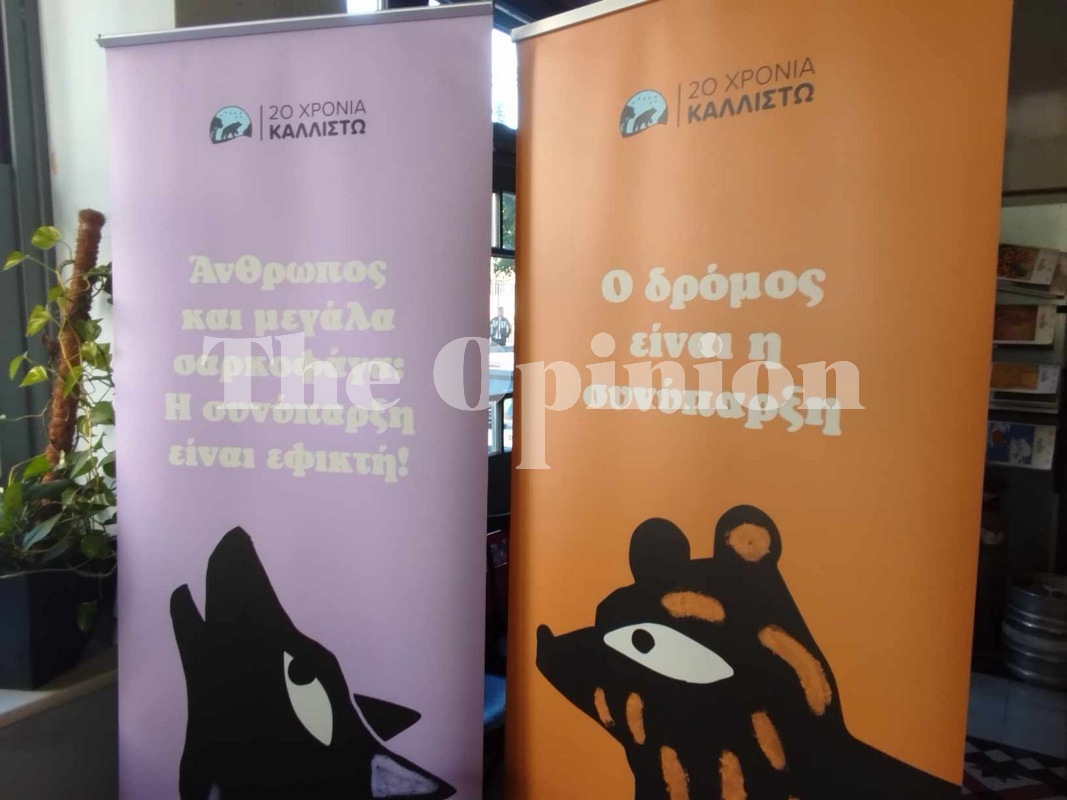 «Πρέπει να μάθουμε να ζούμε με το λύκο και την αρκούδα» – 20 χρόνια δράσης για την Καλλιστώ (ΦΩΤΟ)