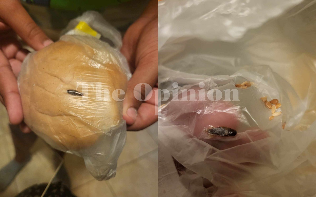 «Πήγε να φάει το ψωμάκι και είδαμε μέσα μια νεκρή κατσαρίδα» – Τι λέει στο TheOpinion η μητέρα μαθήτριας για το σχολικό γεύμα