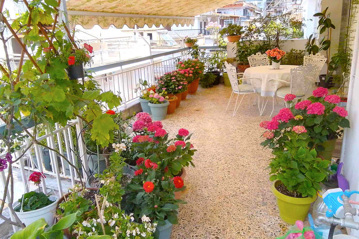 Ο δήμος Θεσσαλονίκης βραβεύει τα πιο «πράσινα μπαλκόνια» – Πώς συμμετέχουμε