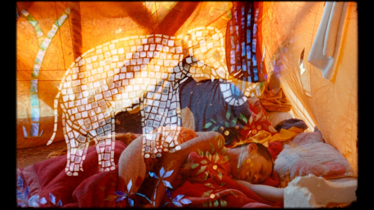 Οι ταινίες της εβδομάδας στις αίθουσες του ΦΚΘ (24-27/10)