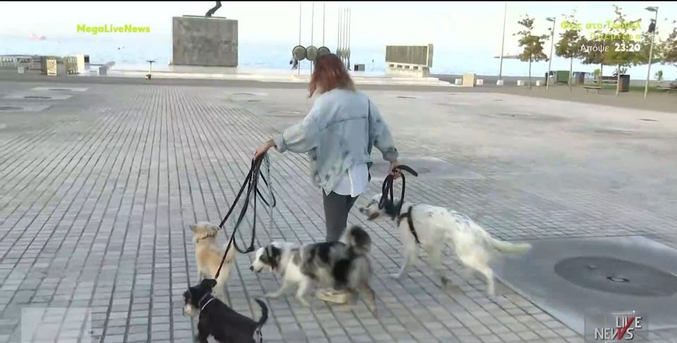 Dog walkers: Το νέο επάγγελμα που συνεχώς κερδίζει έδαφος (VIDEO)