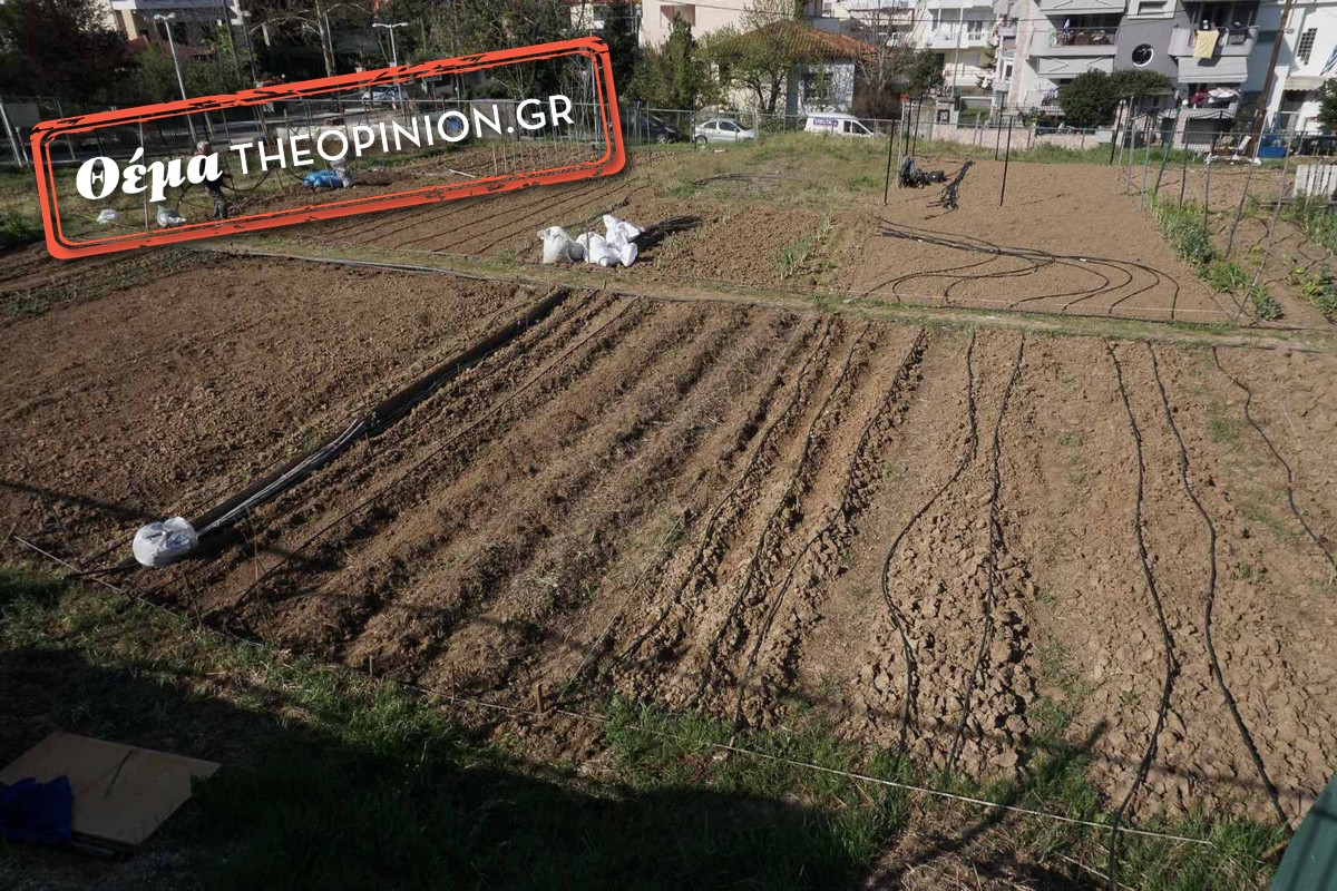 Αγρότες… μες στην πόλη! – Σήκωσαν μανίκια για τη χειμερινή καλλιέργεια στα μποστάνια τους στη Θεσσαλονίκη