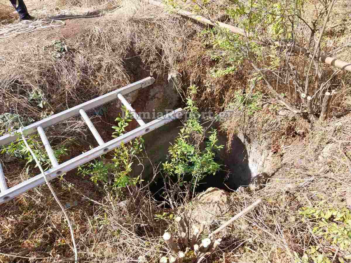 Λακωνία: 13χρονη έπεσε σε πηγάδι με νερό βάθους 5 μέτρων