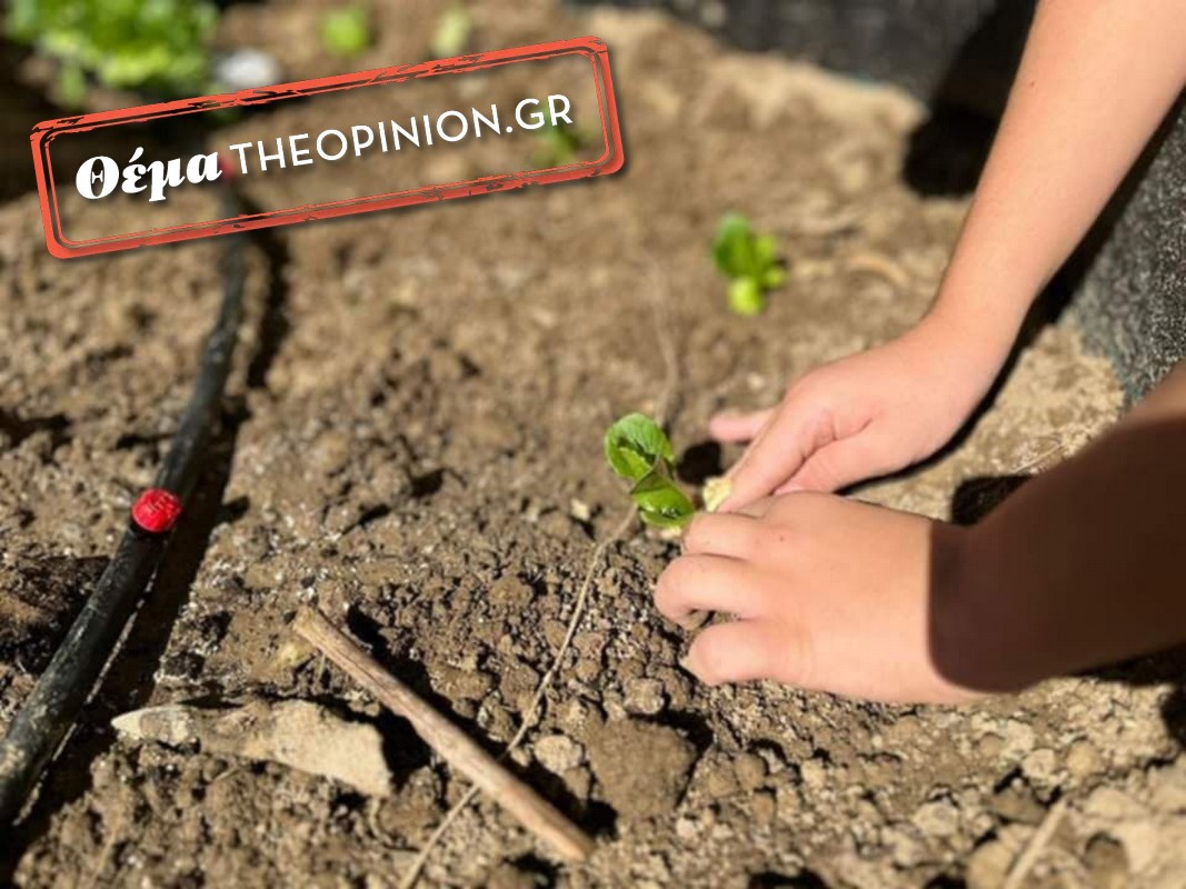 Πρασινίζουν οι σχολικές αυλές στο δήμο Θεσσαλονίκης – «Να είναι κάτι περισσότερο από ένα γήπεδο μπάσκετ»