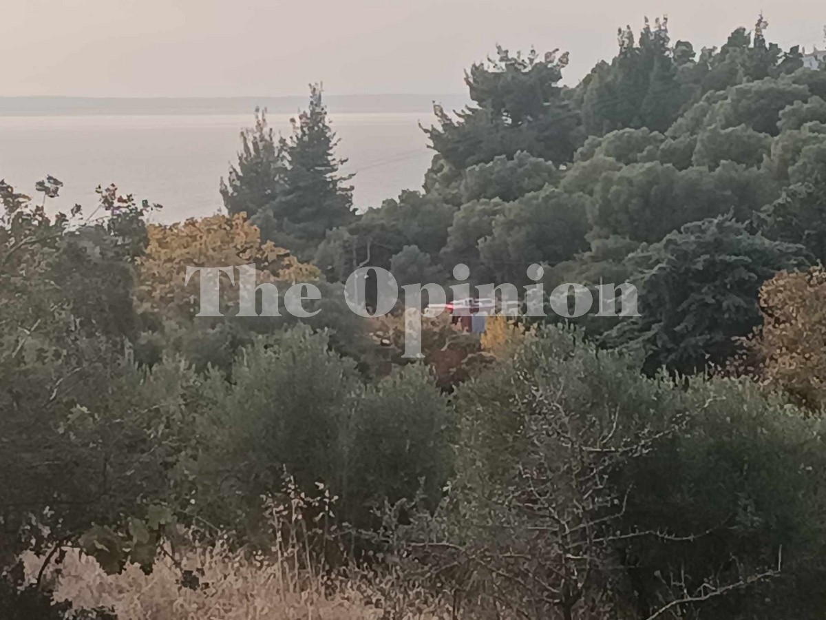 Χαλκιδική: Παράταση της απαγόρευσης κυκλοφορίας σε δασικές περιοχές