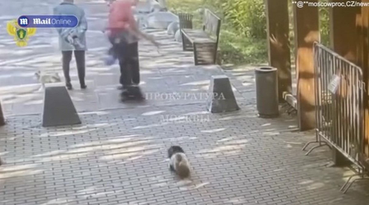 Skater τραυμάτισε θανάσιμα ηλικιωμένη και παραλίγο να… πνίξει το σκύλο της (VIDEO)