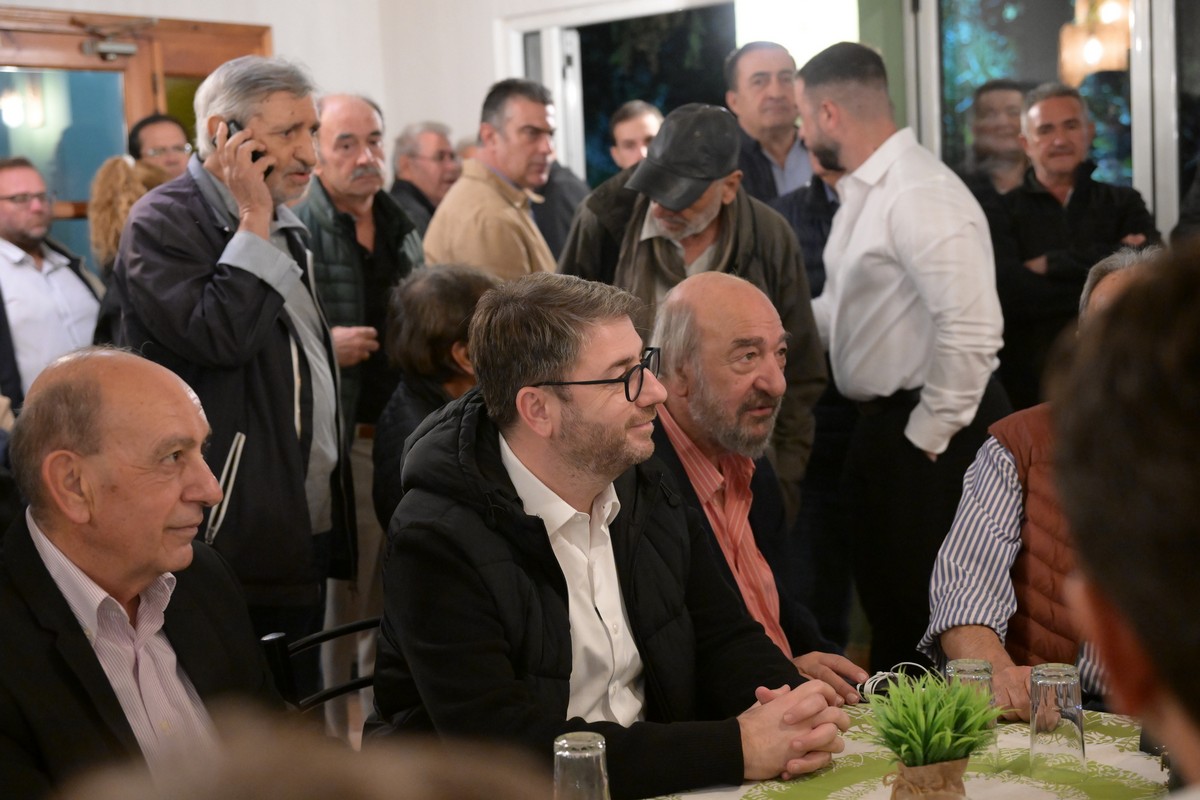 Ν. Ανδρουλάκης: «Το ΠΑΣΟΚ θα καταφέρει να νικήσει ξανά τη Νέα Δημοκρατία»