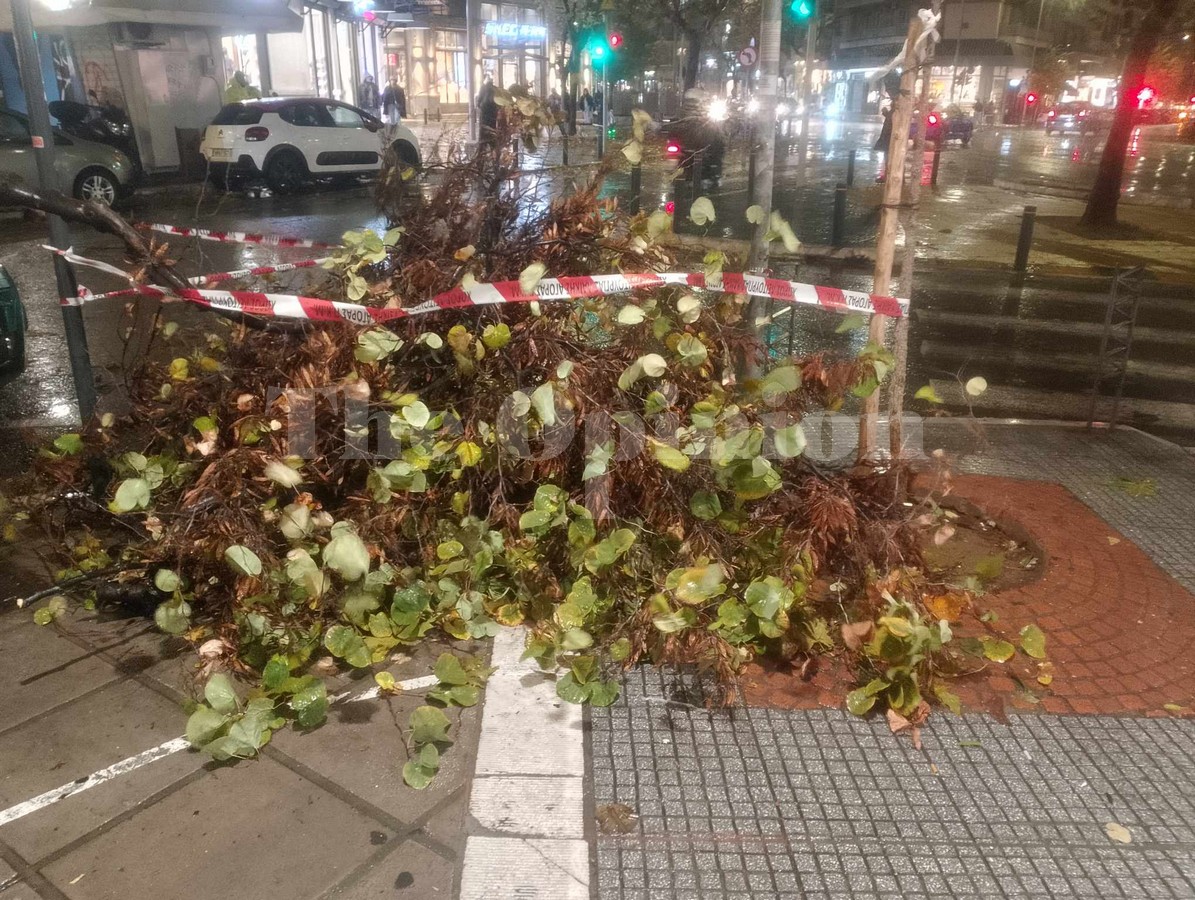 Δήμος Θεσσαλονίκης: «Μπλόκαραν» τα ογκώδη λόγω της κακοκαιρίας!