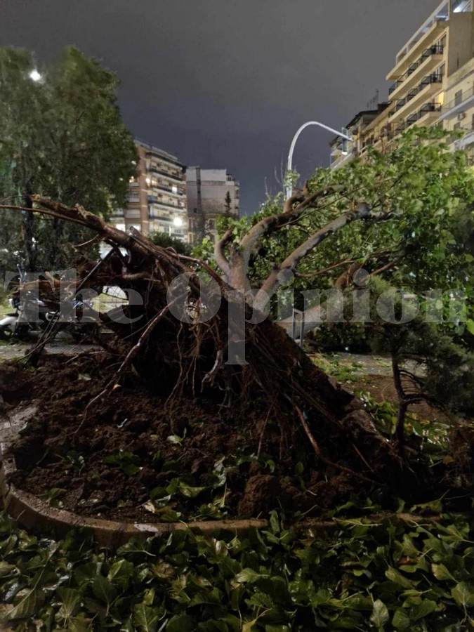 Κακοκαιρία Bora: Δύσκολη νύχτα σε Θεσσαλονίκη και Χαλκιδική – Πτώσεις δέντρων και χείμαρροι από τις καταιγίδες (ΦΩΤΟ+VIDEO)