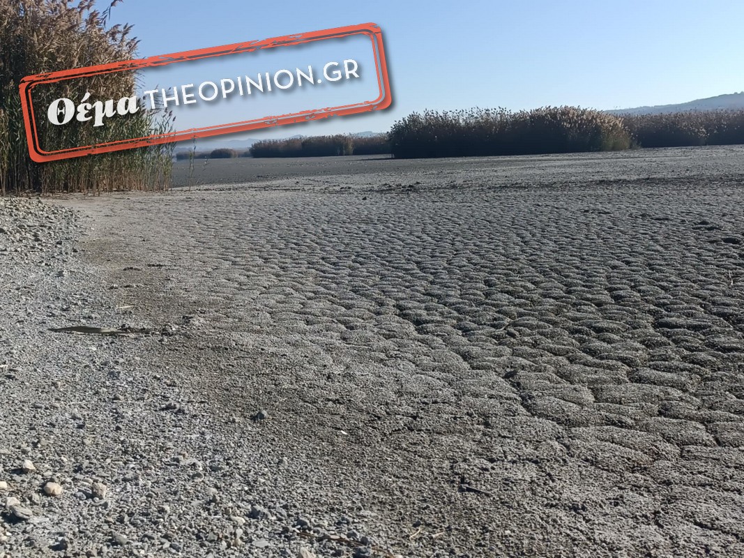 «Να χρησιμοποιήσουμε επεξεργασμένα λύματα από τους βιολογικούς για άρδευση»