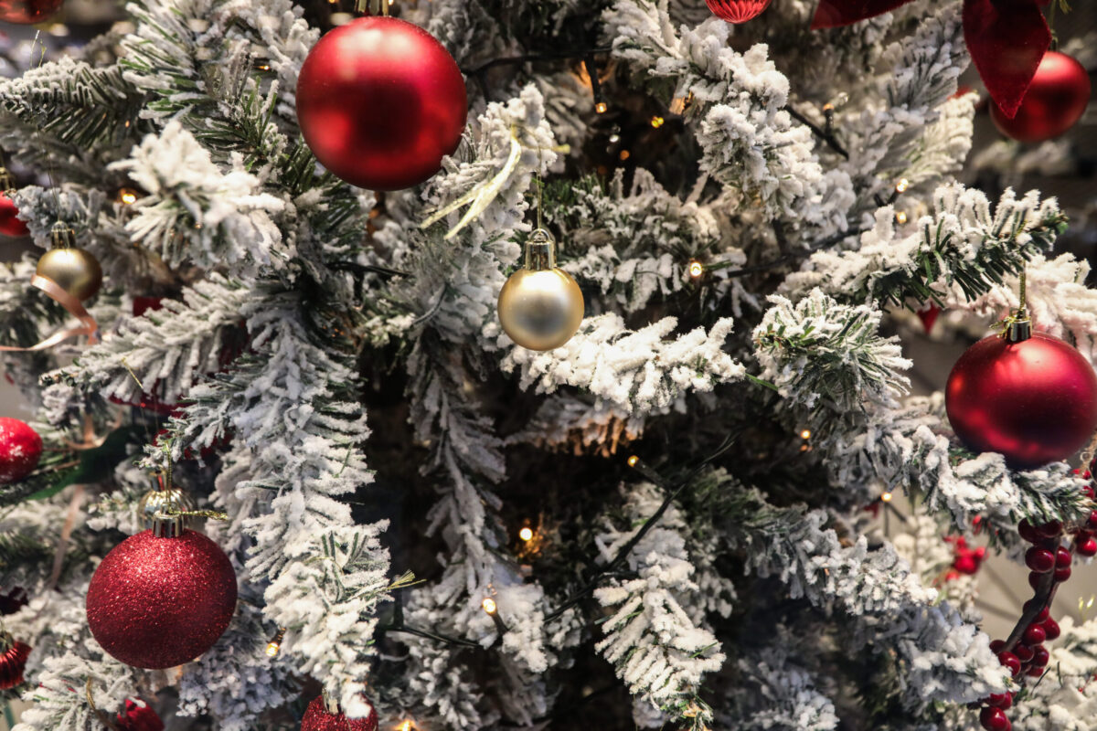 Ένα αστέρι για κάθε δότη: Το “Δέντρο της Ελπίδας” φωτίζει την Παγκόσμια Ημέρα Αγάπης στη Θεσσαλονίκη