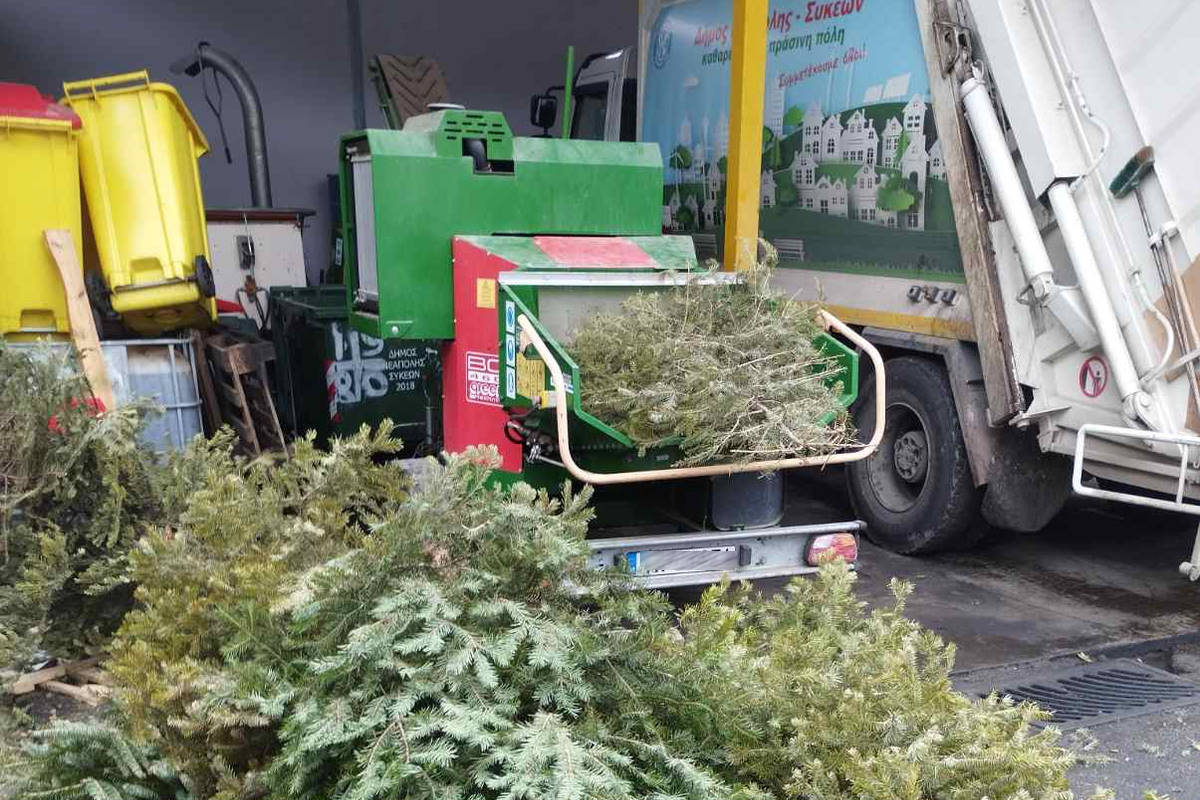 Δήμος Νεάπολης-Συκεών: Ανακυκλώνει τα φυσικά χριστουγεννιάτικα δέντρα – Η έκκληση προς τον κόσμο