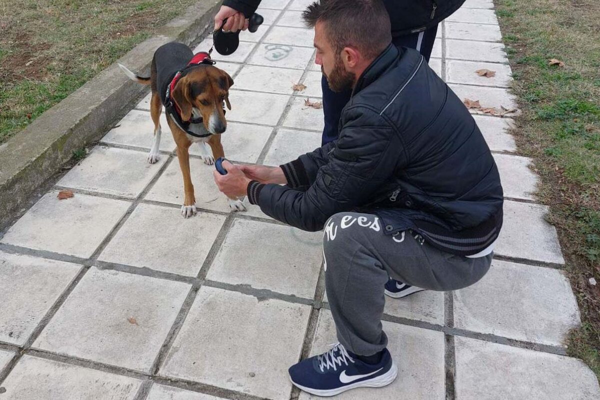 Θεσσαλονίκη: Έλεγχοι σε ιδιοκτήτες κατοικιδίων από ΕΛΑΣ και Δημοτική Αστυνομία (VIDEO)