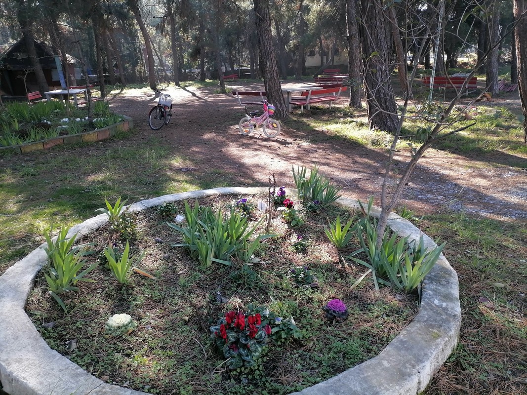 Ένα μικρό «διαμαντάκι» στην Άνω Τούμπα – Έκκληση στον δήμο Θεσσαλονίκης για τη διάσωσή του