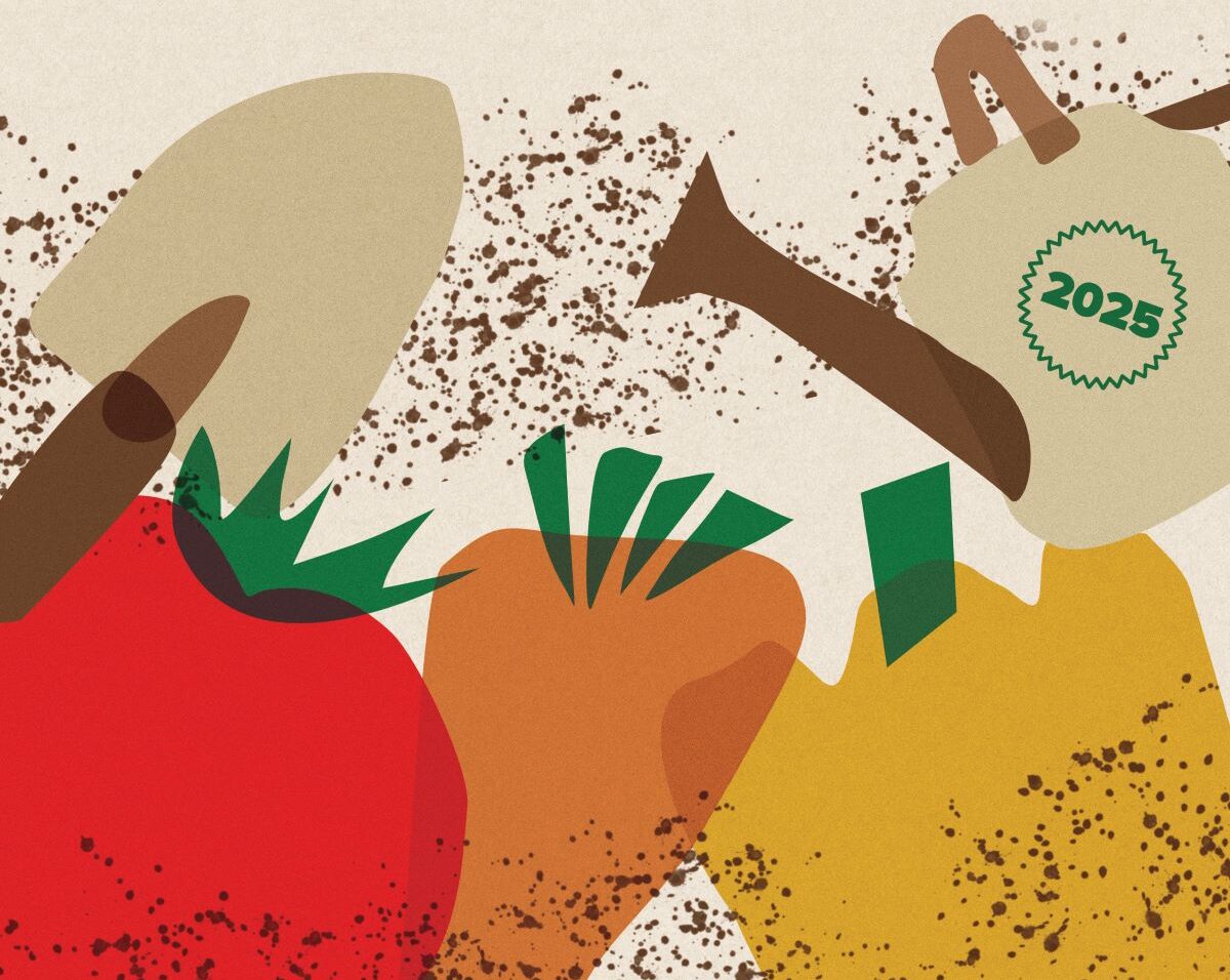 Δ. Θέρμης: Δίκτυο πράσινων σχολείων με πλούσιες δράσεις και σχολικούς λαχανόκηπους