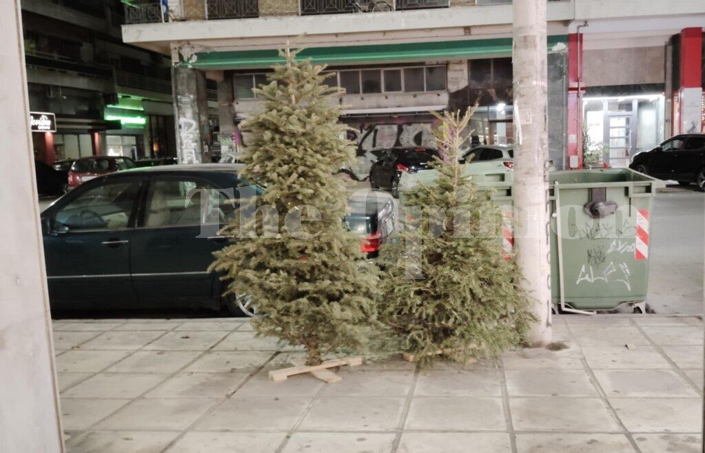 Τι γίνεται το φυσικό χριστουγεννιάτικο δέντρο όταν «πεθαίνει» – Η ανακύκλωση στους δήμους της Θεσσαλονίκης