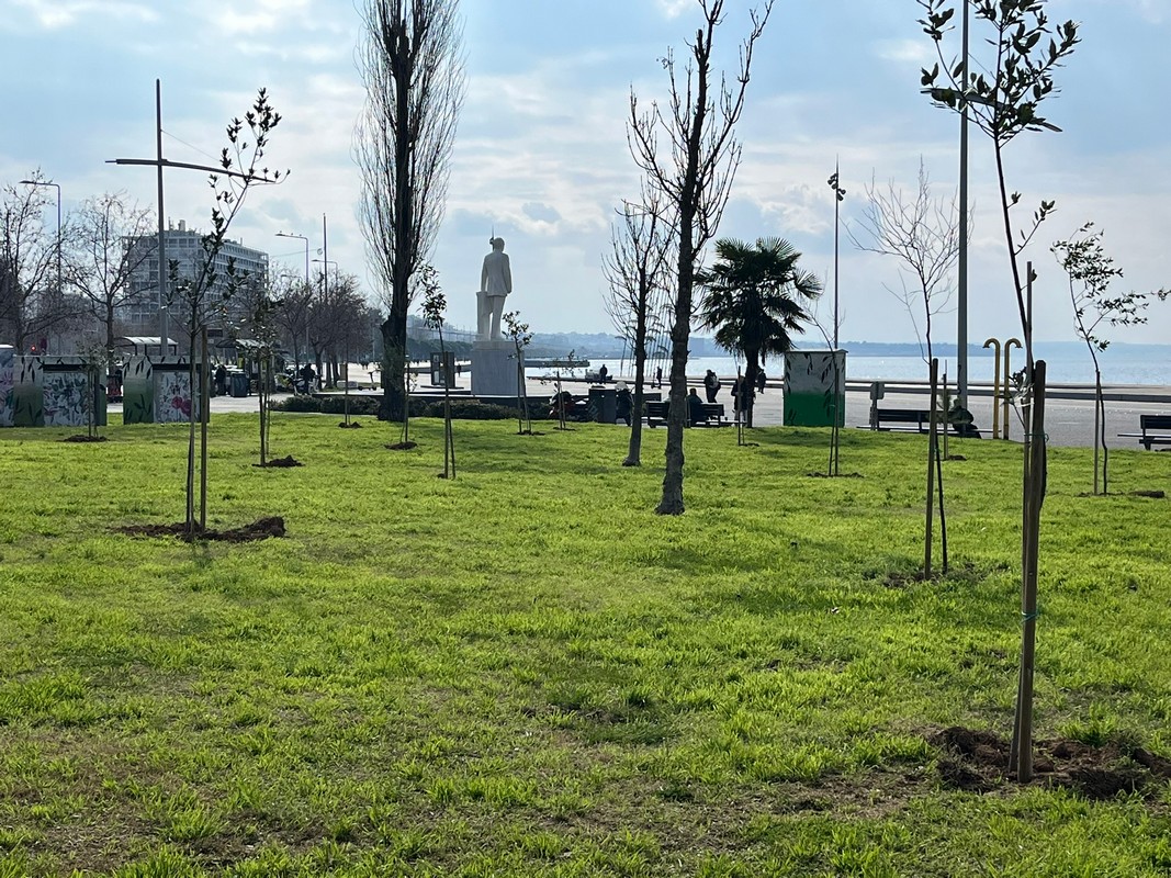 Δενδροφύτευση στη Νέα Παραλία – «Πρασινίζει» με άλλα 400 δέντρα (ΦΩΤΟ)