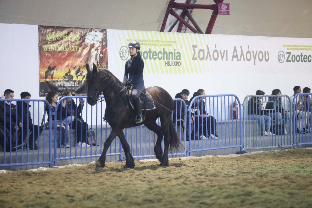 Zootechnia: Εντυπωσιάζουν τα άλογα – Σήμερα η βόλτα στην πόλη (ΦΩΤΟ)